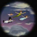 멍블랑 반려견미용실 이미지