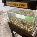 대창IC주유소 이미지