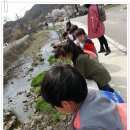 미원초교 금관분교 이미지