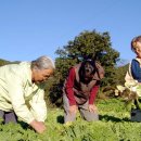 조현농장 이미지