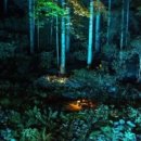 정원오리농장 이미지