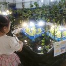 율리2농장 이미지