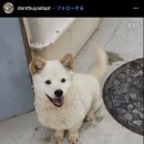 제장농장 이미지