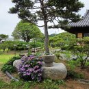 영산강로 이미지