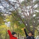 명돈골캠핑장 이미지