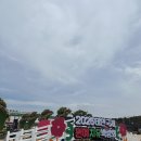 낙지한마리 | 태안 국제원예치유박람회 후기ㅣ꽃과 바다로 채운 힐링 하루