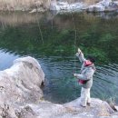 태백낚시 이미지