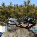 상삼경로당 이미지