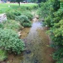 보원목장 이미지