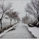 위례강변길 이미지