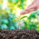 샤론통상 이미지