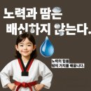 완성태권도장 이미지