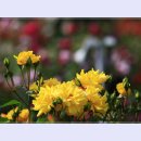 곡성-173 이미지