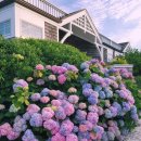 아름미한의원 이미지