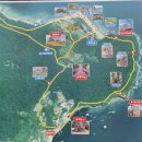 공곶이펜션 | 거제 공곶이 황화코스모스 예쁘게 핀 가을 풍경