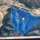 신촌에이스공인중개사사무소 이미지