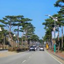 고인돌공원(동절기) 이미지