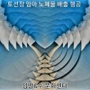 토션장 암아 노폐물 배출 행공 이미지