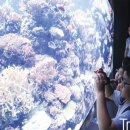 인공 + 자연 이미지