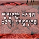 관저동 소고기 당연히 넘버원은 이곳입니다