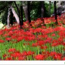 신구농장 이미지