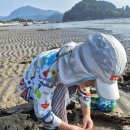 소노벨 변산 이미지