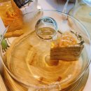 카페돌옷 이미지