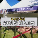 1004 브릿지 | 부산 지역 축제 2026년 밀 페스티벌 행사 일정 아이랑 가볼만한 곳