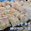 베이커리가루 | 강원 속초 베이커리 가루 원준이 엉덩이빵 후기