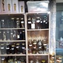 8월 28일 금요일 출석부 이미지