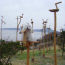 노을자리 이미지