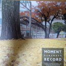 영해초등학교 앞 이미지