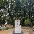 아를포레스트 네이버블로그