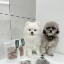 레이지키친 이미지