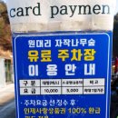 자작나무 스테이 이미지