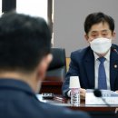 채안과 동아일보