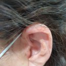 시그니아독일보청기대구북구센터 이미지