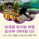 프리미엄코스 주식회사 | 오사카 아기랑 여행코스(3) 덴노지동물원 린쿠프리미엄아울렛 공항셔틀버스 스카이셔틀