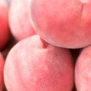 복숭아한의원 이미지