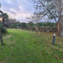 알마레월정 이미지