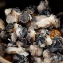 우렁쌈밥 이미지