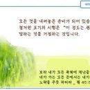 일일예화말씀묵상 2021년 5월 11일 (화) -어리석음 이미지