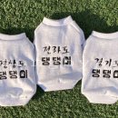 씨씨피엠(CCPM)