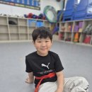 더 마스터 태권도 이미지