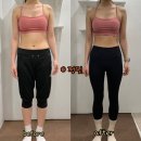 바디피티 이미지