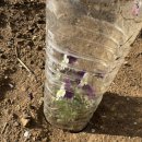 송은농장 이미지