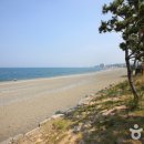 강동몽돌해변 이미지