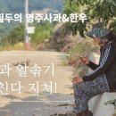 인우농장 이미지