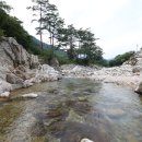 모리의 언덕 이미지