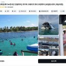 레츠비티 | 푸꾸옥 크레이지 파티 호핑투어 가격 스노쿨링 준비물 예약 후기